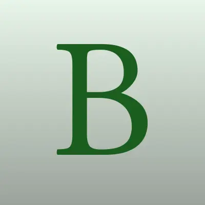 Быстрый Заём, микрофинансовая организация, лого-визитка